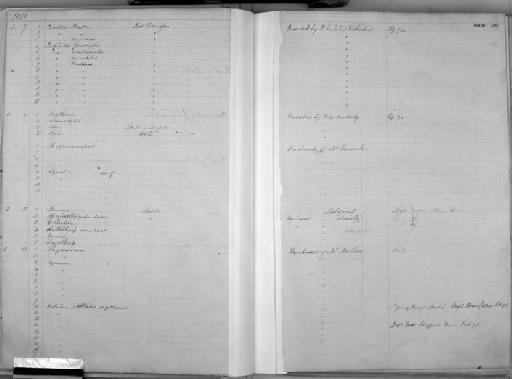 Cephaloscyllium laticeps Duméril, 1853 - Zoology Accessions Register: Mammals: 1850 - 1853: page 287