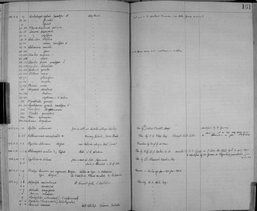 Acartia fossae Gurney, 1927 - Zoology Accessions Register: Crustacea: 1905 - 1935: page 161