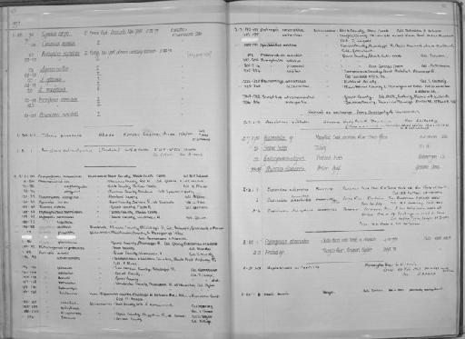 Rhinichthys atratulus Hermann, 1804 - Zoology Accessions Register: Fishes: 1971 - 1985: page 56