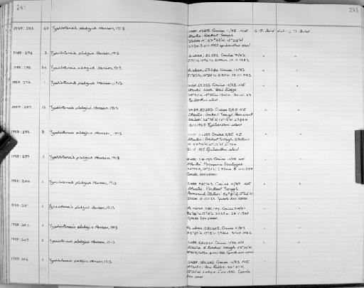 Typhlotanais plebejus Hansen, 1913 - Zoology Accessions Register: Crustacea: 1984 - 1991: page 241