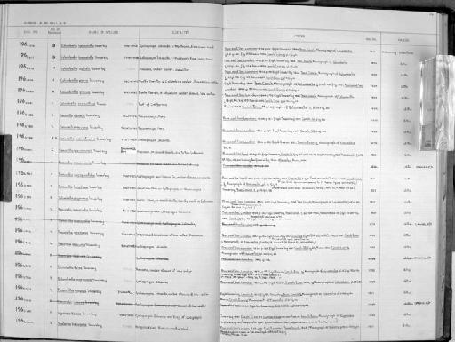 Fissurella nigropunctata G. B. Sowerby I, 1835 - Zoology Accessions Register: Mollusca: 1962 - 1969: page 154