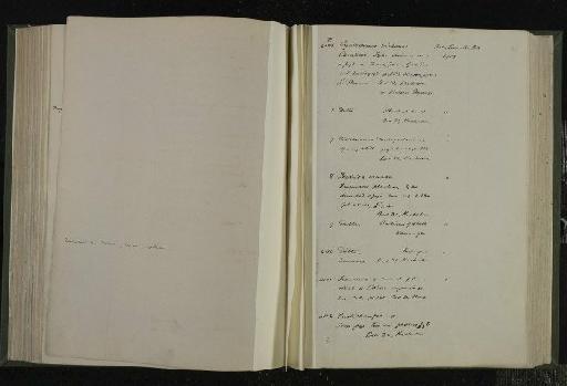 Cycloderma victoriae Andrews, 1914 - NHM-UK_P_DF118_03_22_0303