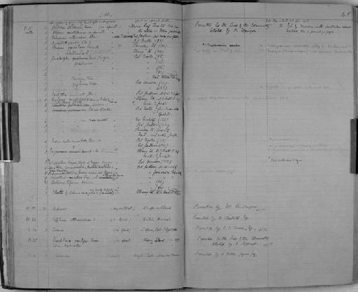 Balanus Costa, 1778 - Zoology Accessions Register: Crustacea: 1876 - 1905: page 48