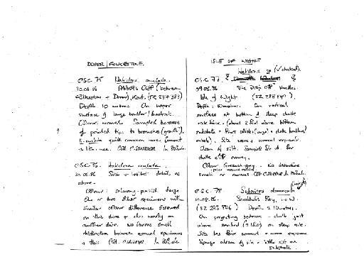 Haliclona Grant, 1841 - notes on CSC 71 to 96 (3).jpg