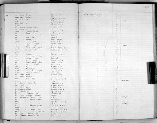 Dosina exasperata - Zoology Accessions Register: Mollusca: 1938 - 1955: page 187