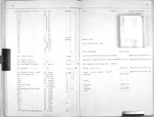 Pipistrellus nanus - Zoology Accessions Register: Mammals: 1967 - 1970: page 89