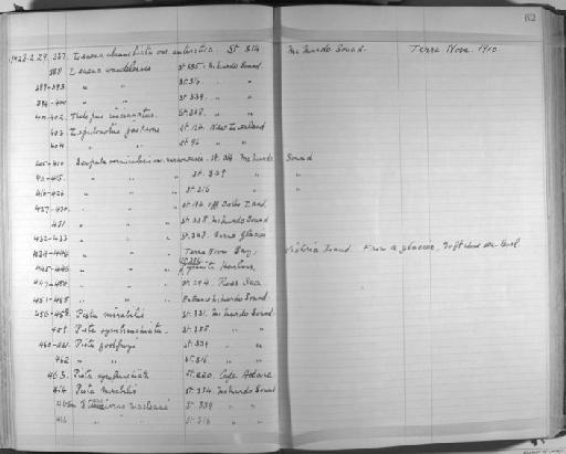 Leaena abranchiata antarctica McIntosh - Zoology Accessions Register: Annelida & Echinoderms: 1924 - 1936: page 62
