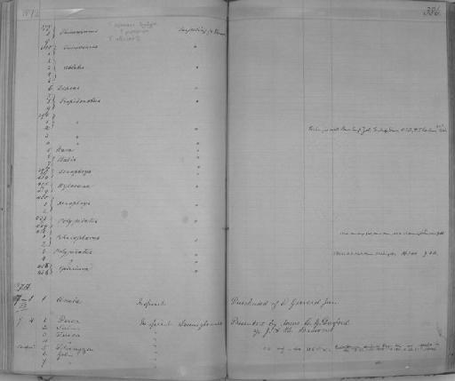 Xenodon neurviedii - Zoology Accessions Register: Reptiles & Fishes: 1864 - 1877: page 386