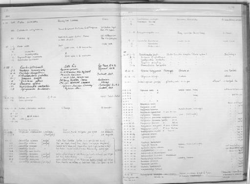 Stolephorus oligobranchus Wongratana, 1983 - Zoology Accessions Register: Fishes: 1971 - 1985: page 239