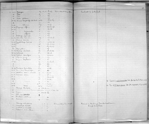 Marmosa lepida grandis Tate, 1931 - Zoology Accessions Register: Mammals: 1921 - 1929: page 195