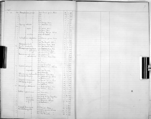 Saltator cayanus bolivianus Chubb, 1921 - Bird Group Collector's Register: Aves - Simon Collection: 1902: page 7