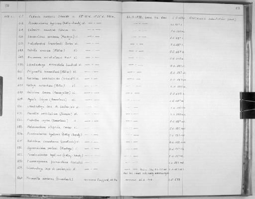 Polymastia mammillaris ul - Zoology Accessions Register: Spongiida: 1954 - 1970: page 60