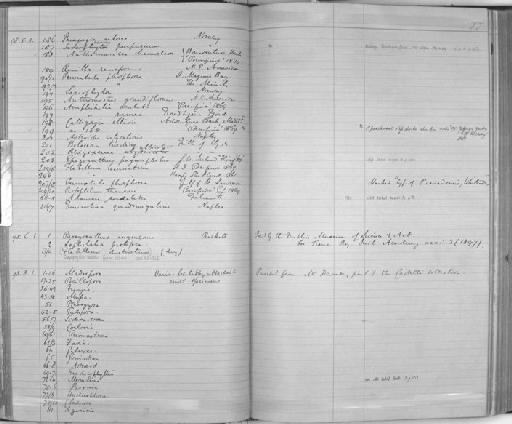 Sarcophyton Lesson, 1834 - Zoology Accessions Register: Coelenterata & Anthozoa: 1884 - 1934: page 77