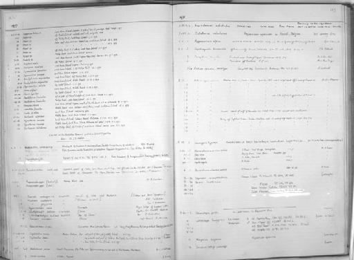 Muraena polyzona Richardson, 1845 - Zoology Accessions Register: Fishes: 1971 - 1985: page 183