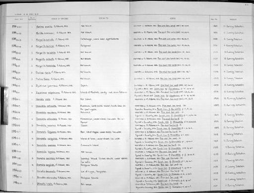 Monilea pusilla A. Adams, 1853 - Zoology Accessions Register: Mollusca: 1962 - 1969: page 212