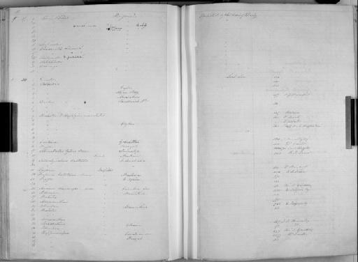 Tetrodon argyropleura Bennett, 1833 - Zoology Accessions Register: Mammals: 1850 - 1853: page 376