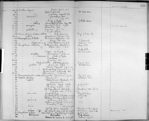 Phoxus kroyeri parvorder Haustoriidira Stimpson - Zoology Accessions Register: Crustacea - Norman Collection: 1911: page 229