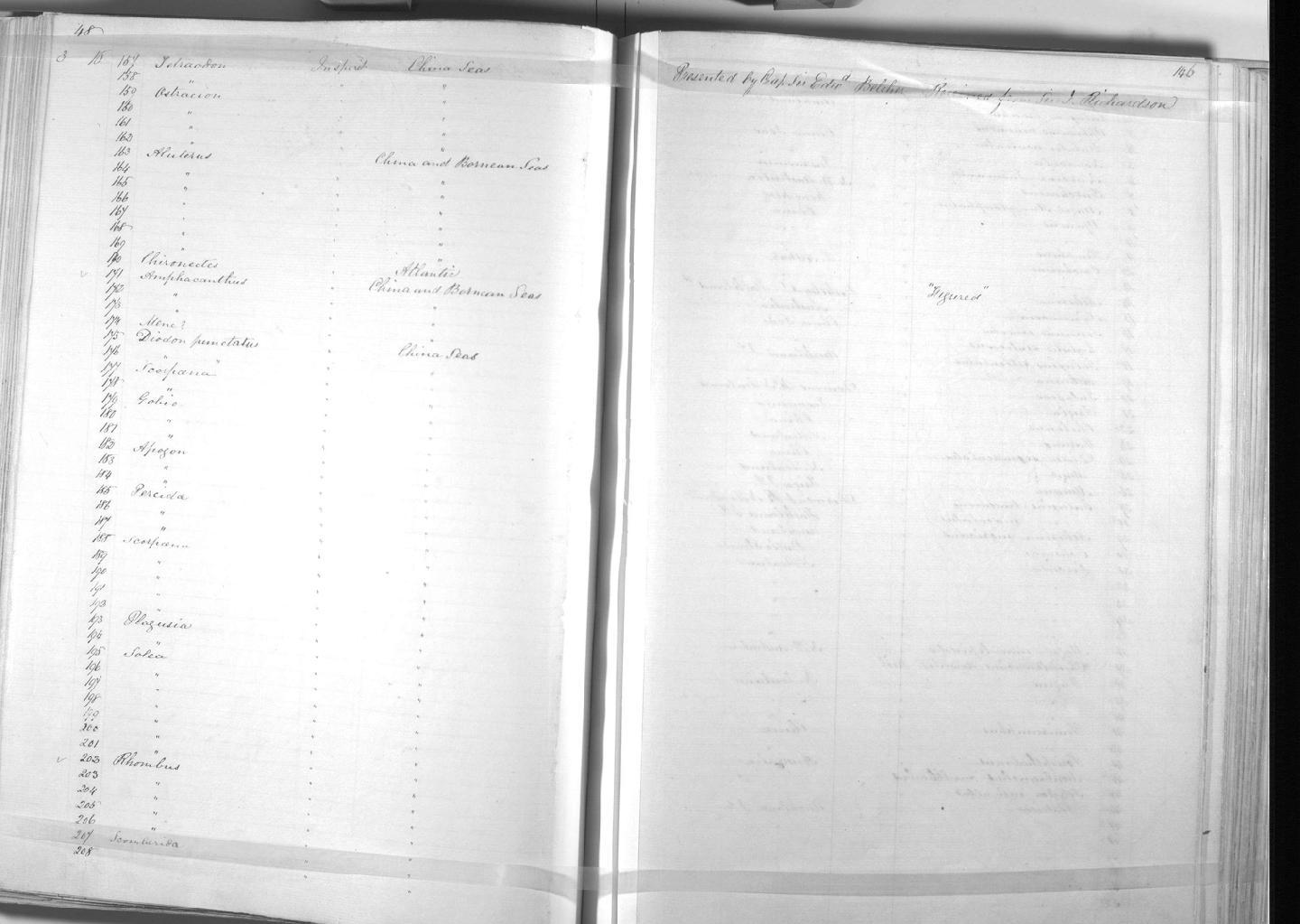 Zoology Accessions Register: Mammals: 1846 - 1849: page 146