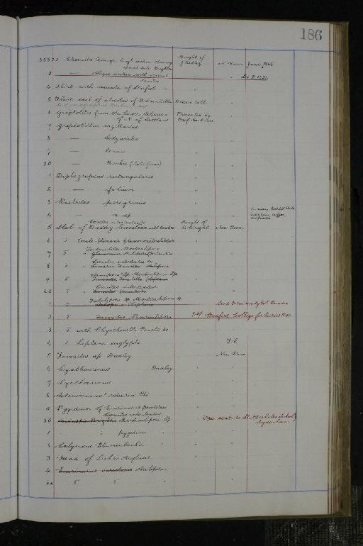 Protosphyraena Leidy, 1857 - NHM-UK_P_DF118_02_02_0373