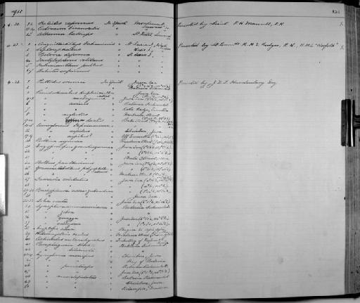 Pseudorhombus neglectus Bleeker, 1865 - Zoology Accessions Register: Fishes: 1912 - 1936: page 230