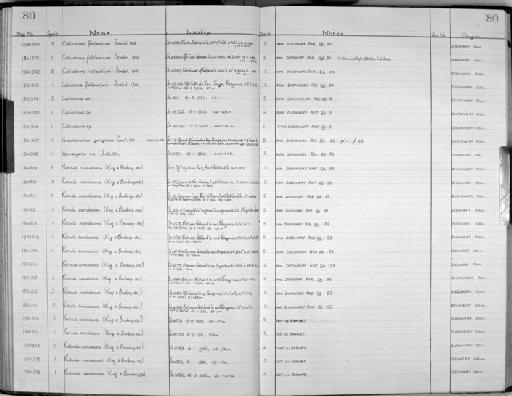 Calliostoma Swainson, 1840 - Zoology Accessions Register: Mollusca: 1956 - 1978: page 80