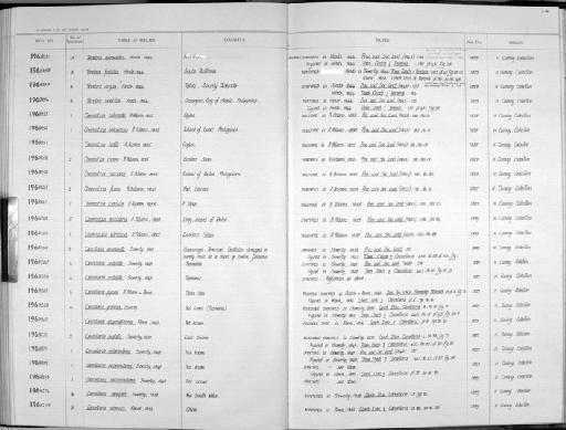 Terebra textilis Hinds, 1844 - Zoology Accessions Register: Mollusca: 1962 - 1969: page 218