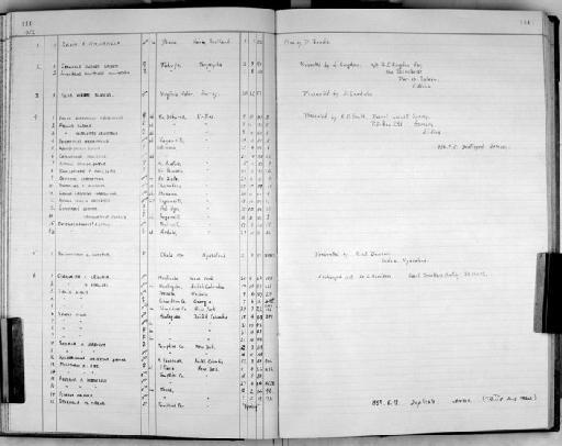 Cyanocitta cristata bromia Oberholser, 1921 - Zoology Accessions Register: Aves (Skins): 1951 -1954: page 111