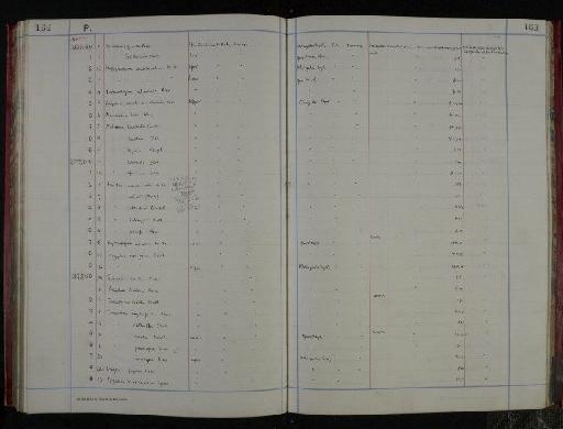 Gaudryina textilaroides Hantken, 1875 - NHM-UK_P_DF118_04_05_0343