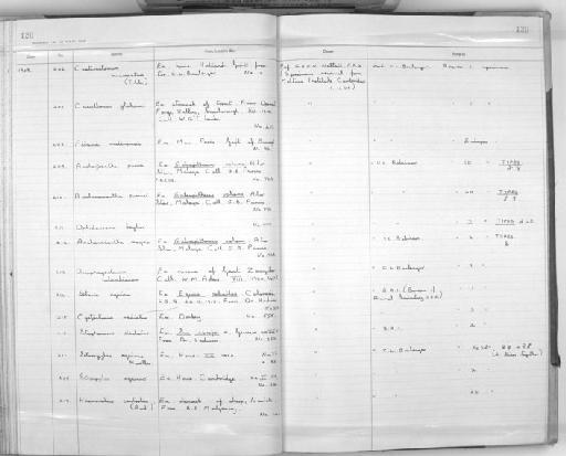 Setaria equina (Abildgaard, 1789) Railliet & Henry, 1911 - Zoology Accessions Register: Aschelminth N3: 1954 - 1977: page 120