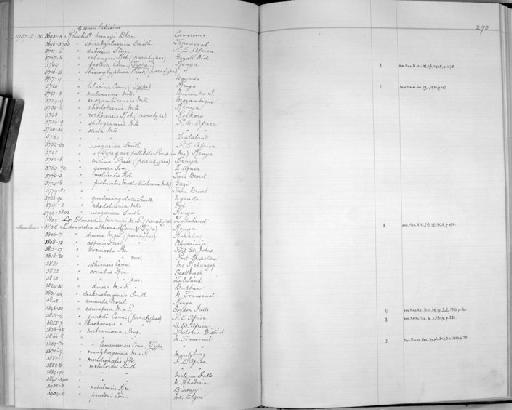 Rhachis erlangeri subterclass Tectipleura Kobelt, 1910 - Zoology Accessions Register: Mollusca: 1925 - 1937: page 270