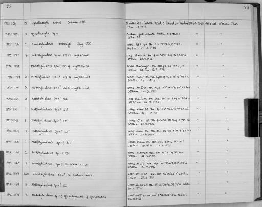 Gynodiastylis Calman, 1911 - Zoology Accessions Register: Crustacea: 1991 - 1993: page 73