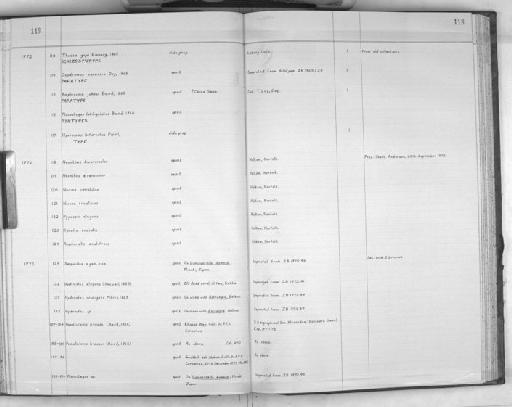 Nerine cirratulus (Delle Chiaje, 1828) - Zoology Accessions Register: Polychaeta: 1967 - 1989: page 118