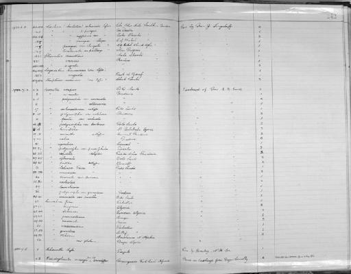 Leucochroa debeauxi subterclass Tectipleura Kobelt, 1881 - Zoology Accessions Register: Mollusca: 1911 - 1924: page 242