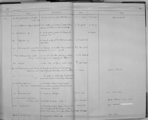 Chordodes modigliani (Camerano, 1892) - Zoology Accessions Register: Aschelminth N4: 1977 - 1989: page 43