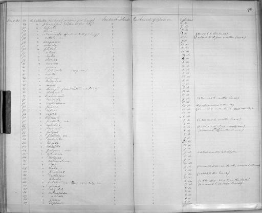 Achatinella clava - Zoology Accessions Register: Mollusca: 1857 - 1860: page 96