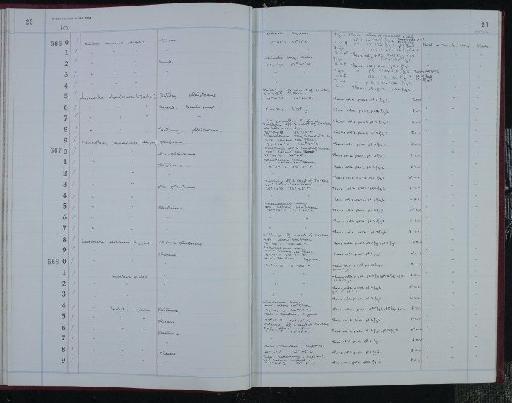 Loxoconcha dertobrevis Ruggieri, 1967 - NHM-UK_P_DF118_04_10_0047