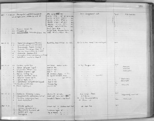 Actinopyga Bronn, 1860 - Zoology Accessions Register: Echinodermata: 1935 - 1984: page 133