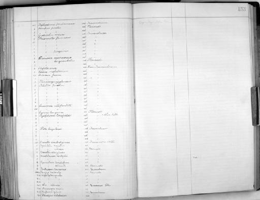 Pomatorhinus horsfieldi travancoreensis Fry,  1914 - Zoology Accessions Register: Aves (Skins): 1909 - 1911: page 153