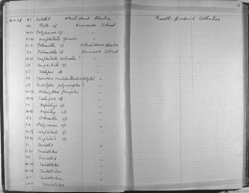 Halosydna fragilis Baird - Zoology Accessions Register: Annelida & Echinoderms: 1924 - 1936: page 8