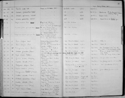 Pliopontonia furtivus Bruce - Zoology Accessions Register: Crustacea: 1969 - 1976: page 40