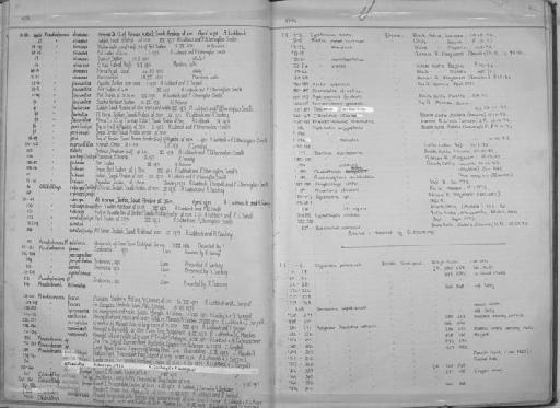 Chaetodon mendoncae Smith, 1953 - Zoology Accessions Register: Fishes: 1971 - 1985: page 82