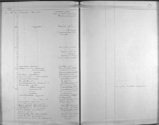 Mirafra sabota bradfieldi (Roberts, 1928) - Zoology Accessions Register: Aves (Skins): 1874 -1880: page 271