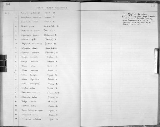 Laxosuberites incrustans Stephens - Zoology Accessions Register: Spongiida: 1938 - 1954: page 146