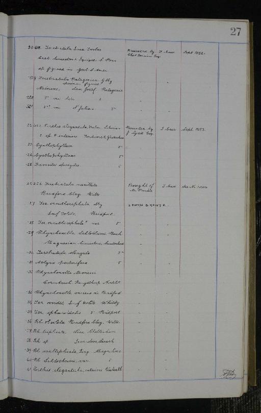 Isurus infraphylum Gnathostomata Rafinesque, 1810 - NHM-UK_P_DF118_02_02_0055