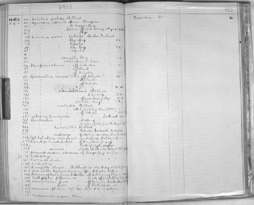 Marsipella elongata Norman - Zoology Accessions Register: Spongiida & Protozoa: 1887 - 1918: page 162