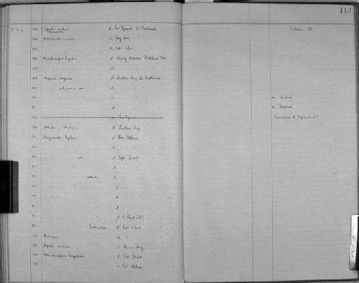 Menipea fuegensis Busk, 1852 - Zoology Accessions Register: Bryozoa: 1922 - 1949: page 113