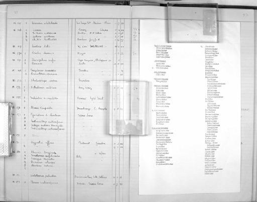 Paradoxornis webbianus webbianus (Gould, 1852) - Zoology Accessions Register: Aves (Nest): 1959 - : page 22A