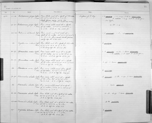 Afracanthion nudus Inglis, 1964 - Zoology Accessions Register: Aschelminth N3: 1954 - 1977: page 45