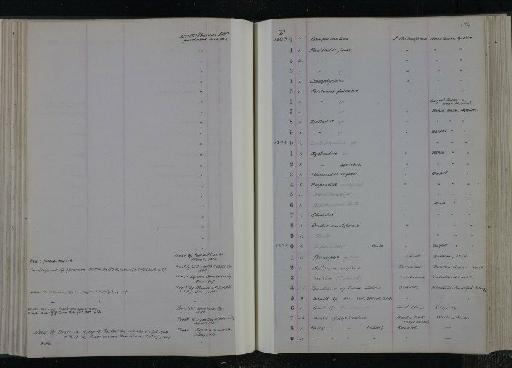 Syllaemus anglicus Dixon, 1850 - NHM-UK_P_DF118_03_11_0115