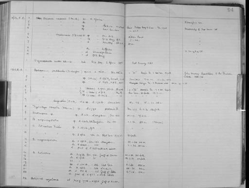 Steganoporella buskii Harmer, 1900 - Zoology Accessions Register: Bryozoa: 1950 - 1970: page 94